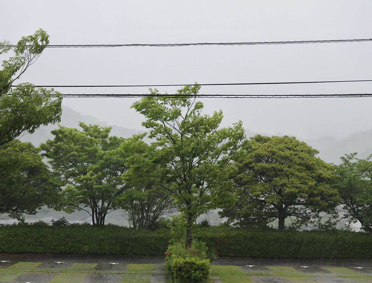 有田町は梅雨入り